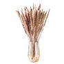 Top Sellers Decorative Indoor Grass Dried Flower Natural Color Pampas Grass for Home Decoration