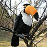 Toucan Birds Animal Stuffed Plush Toys for and Ebay