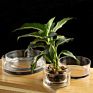 Wide Glass Cylinder Vase