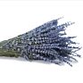22Inch Dried Lavender Bundle Flowers Freshly Harvested Real 100% Natural Lavender Bunch for Diy Home Office Party Wedding Deco