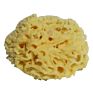 All Natural Renewable  Sea Wool Honeycomb Sea bath Sponge