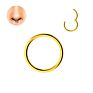 316L Surgical Steel Septum Nose Piercing Helix Cartilage Rook Hoop Earring Hinged Clicker Segment Nose Ring Body Jewelry