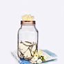 32Oz Glass Mason Jar with 70Mm Coin Bank Lids for Gift