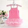 3M 6M 9M 12M 18M 24M Baby First Birthday Party Dress Sleeveless Crew Neck Flowers Girl Dress