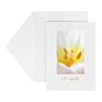 5X7 Gold Foil Flower Plain Sympathy Greeting Card and Envelopes