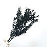 Artificial Green Ruscus Dried Flower Italian Ruscus Greenery Garland Ruscus Leaves for Decor
