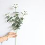 Artificial Greenery Eucalyptus Stems Straight Silver Dollar Eucalyptus Leaf Silk Bushes Plastic Plants Floral for Home Wedding