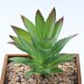 Artificial Mini Succulent and Cactus Succulent Pots Plant for Home Decoration