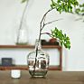 Asia Zen Big Belly round Multi-Color Glass Floor Vase for Home Decor Nordic Glass & Crystal Vases for Flowers