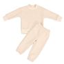 Babies Clothes Unisex Fleece Solid Color Cozy Sport Suit Two-Piece Baby Kids Clothing Set Tracksuit
