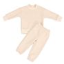 Babies Clothes Unisex Fleece Solid Color Cozy Sport Suit Two-Piece Baby Kids Clothing Set Tracksuit