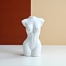 Body Human Face Ceramic Flower Pot Head Planter Sculpture Indoor Plant Pots Character Vase Flower Home Decor