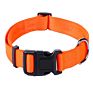 pet belt