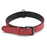 Competitive Price Training Nylon Leash Small and Large Dog Collar