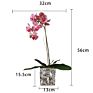 Design Artificial in Pot Uk Phalaenopsis Orchid Silk Flower