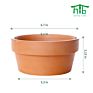 Direct Terracotta Pots Planters 6.1 Inch Cactus Plant Containers Indoor Garden Bonsai Pots with Drainage Hole