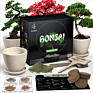 Diy Indoor Bonsai Tree Starter Kit with 4 Seeds Types Includes Seed Pot Peat Soil for Kids and Adult Crafts