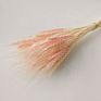 Dried Wheat Bouquet Boho Decor Household Flower Arrangement Preserved Natural Plant Centerpiece Decoration Wedding