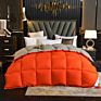 Fast Delivery in Stock Hypoallergenic Quilted Warm down Alternative Comforter