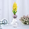 Flower Bulbs Nature Plant Hyacinth Flowers Seed Planting for Selling&Decoration