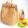 Foldable Top Eco Reusable Waterproof Insulated Freezable Brown Tyvek Colored Paper Lunch Bags for Women Man