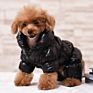High-End Luxury Fashionable Dog Jacket Waterproof Zipper Coat Cloth Warm Pet Dogs Accessories and Clothing