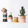 Home Colorful Nordic Decor Glazed Succulent Plant Pot Terracotta Cement Planter Ceramic Flower Pots