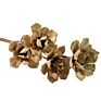Home Decor Flowers Dried Wood Flower Lotus Flower