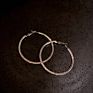 Jewelry 925 Silver Needle Exaggerated Inlaid Diamond Large Ring Earrings Temperament Show Face Thin Personality