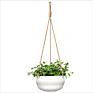 Joy Living 8 Inch Garden Decor Outdoor Indoor Plant Flower Hanging Ceramic Baskets Pots