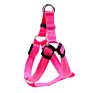 Light for Lovely Pet Dog and Led Safety Lights Led Light up Dog Harness