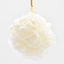 Loofah Bath Sponge with Long Handle