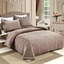 Luxury Super Soft Velour Queen 3 Pieces Embroidery Bedding Set Duvet Quilt