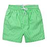 Mens Vertical Stripe Board Shorts