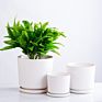 Modern 3 Set Planter Stand Plant Pots round Flower Plant Ceramic Tray for Indoor Outdoor Potted Home Decor Flower Stand