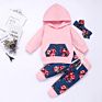 Neutral Baby Clothes Long Sleeve Floral Printed Baby Clothes Organic Cotton Baby Hoodie Set