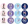 Newborn Baby Month Stickers Monthly Baby Milestone Sticker for Every Kids Baby Stickers