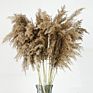 Pampas Grass Dry Flower Bunch for Vase Home Boho Decor Floral Arrangements Large Pampas Grass