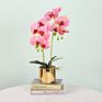 Pink Artificial Simulation Phalaenopsis Bonsai Pot