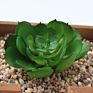 Price the Newest Artificial Succulent Plants Arrangement Faux Mini Cactus Succulents
