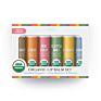 Product 6 Piece Organic Lip Balm Set Private Label Hydrating Chapstick Fruits Lip Balm for Kids