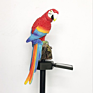 Resin Parrot Solar Light Outdoor Waterproof Garden Lawn Ground Plug Landscape Light