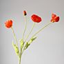 Small Moq Colorful Flocking Artificial Poppy Silk Flower Four Poppies for Wedding Decoration Flowers Wall