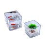 Stock Clear Glass Bud Flower Square Cube Vase