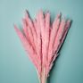 Top Sellers Decorative Indoor Grass Dried Flower Natural Color Pampas Grass for Home Decoration
