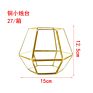 Typ3134 Modern Rustic Art Style Hanging Air Plant Holder Himmeli Geometric Planter Metal Airplant Rack Tillandsia Hanger