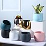 Vase Plant Pots Planter Indoor Luxury Gold Wedding Gift Couples Cup Ceramic Pot Flower