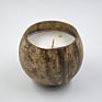 Vietnam Eco Small Coconut Shell Fragrance Candle Bowl Wooden Wick