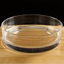 Wide Glass Cylinder Vase