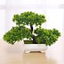 Yiwan Wholesalebonsai Welcoming Pine Multi Shape Lifelike Live Table Small Bonsai Outdoor Home Decoration Plastic Bonsai